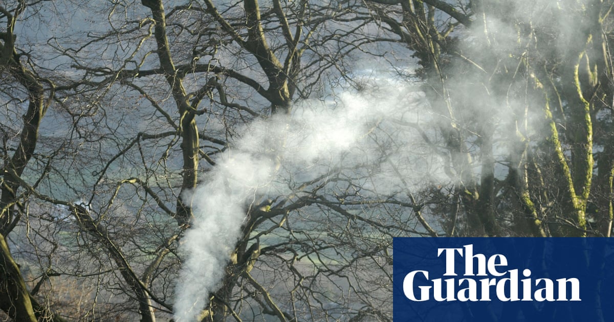 No Legal Actions Taken Following Over 15,000 Wood-Burning Complaints in England in a Year – Mirror Brief